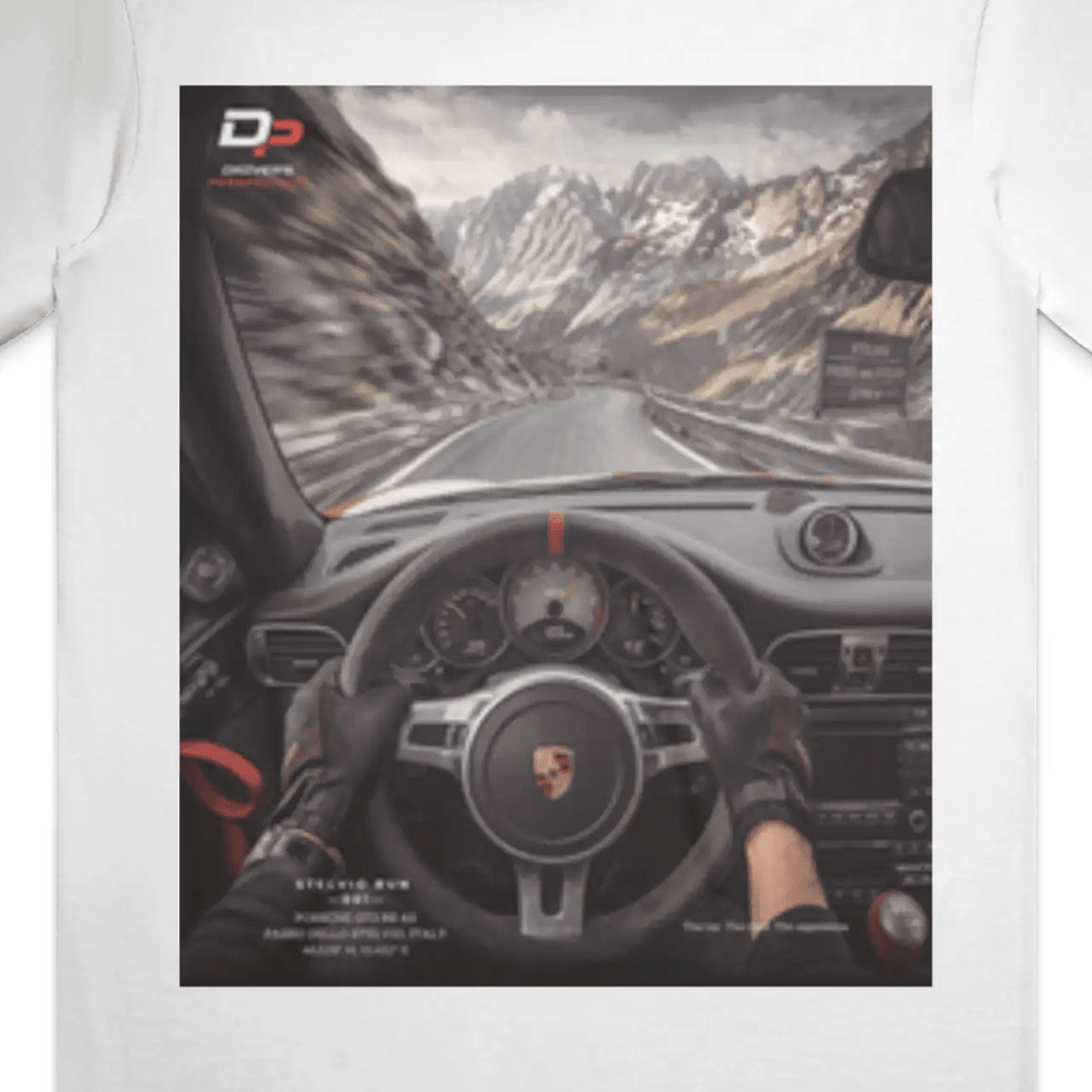 STELVIO RUN 001 - TEE - Driver's Perspective