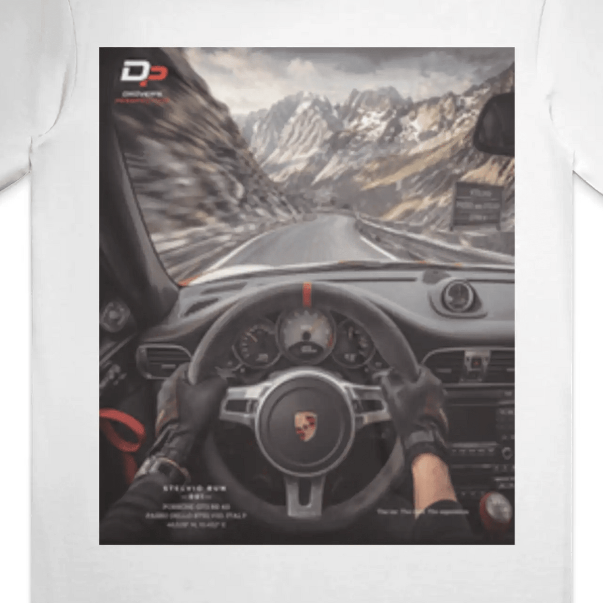 STELVIO RUN 001 - TEE - Driver's Perspective