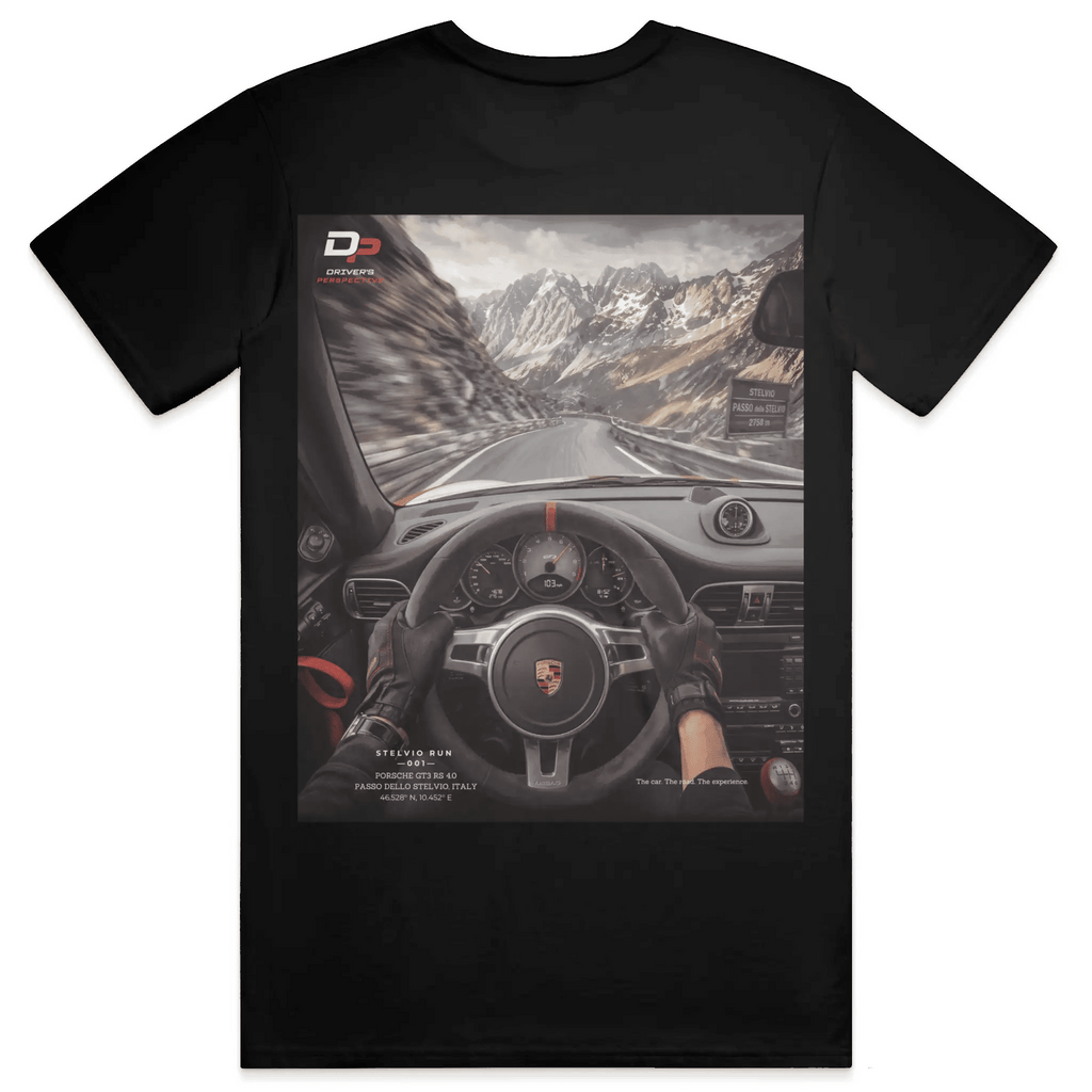 STELVIO RUN 001 - TEE - Driver's Perspective