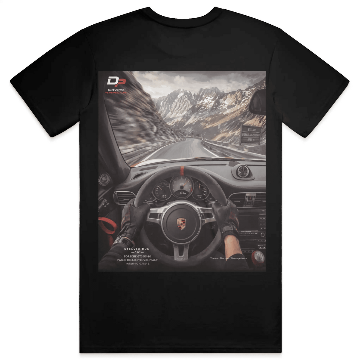 STELVIO RUN 001 - TEE - Driver's Perspective
